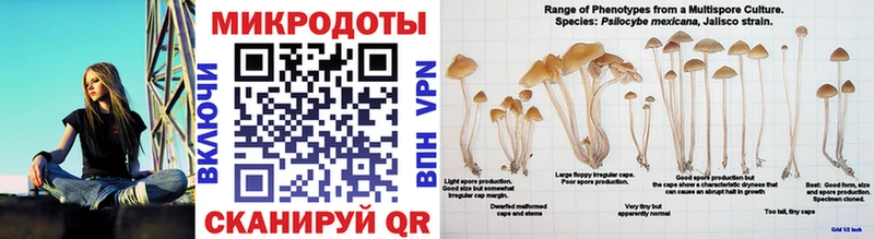 как найти закладки  Зарайск  Галлюциногенные грибы Cubensis 